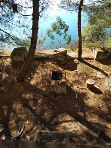IMG 20190204 1238009
