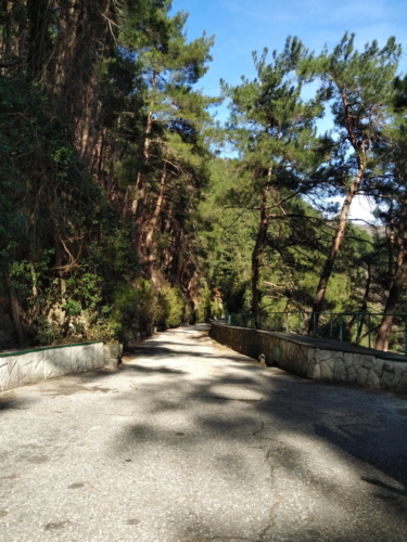 IMG 20190204 1245080