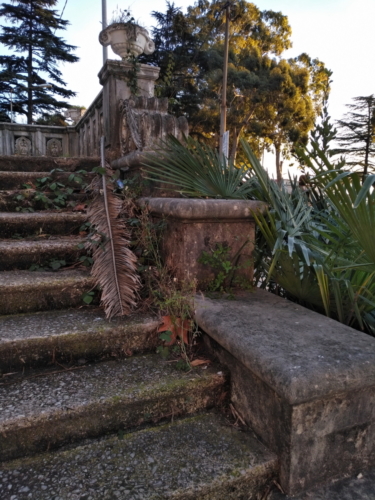 IMG 20190204 1709517