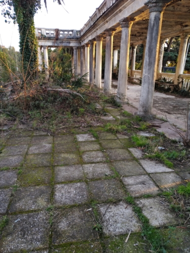 IMG 20190204 1710270