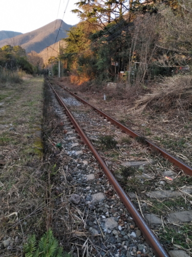 IMG 20190204 1711553