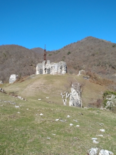 IMG 20190205 1054435