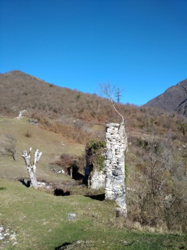 IMG 20190205 1056298