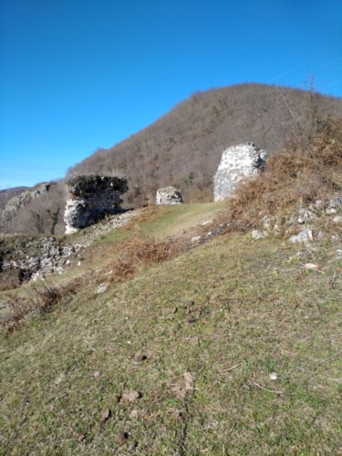 IMG 20190205 1057323