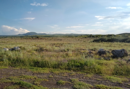 IMG 20190619 1855126