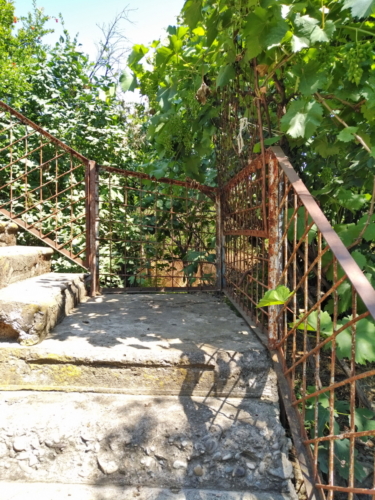 IMG 20190620 1051368