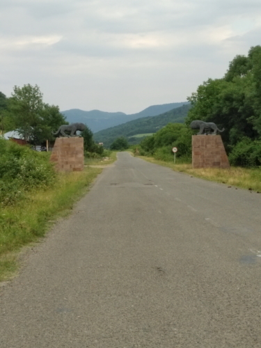 IMG 20190621 1722590