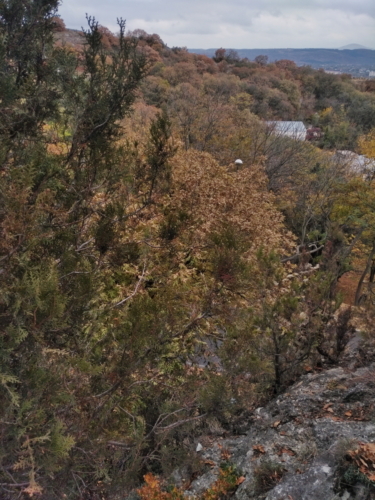 IMG 20201020 1241032