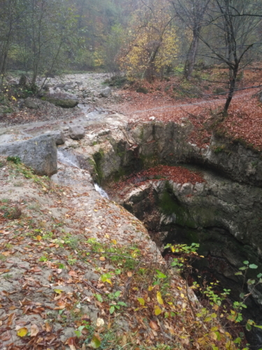 IMG 20201021 0928560