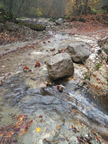 IMG 20201021 0929506