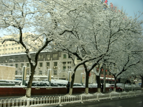file0036 13827704355 o