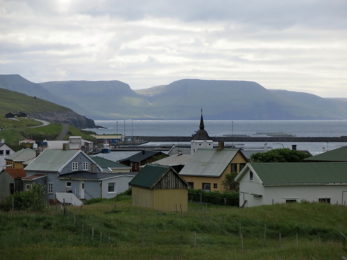 IMG 3667