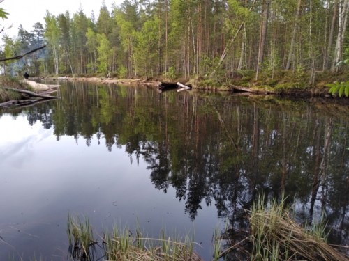 IMG 20190528 1959259