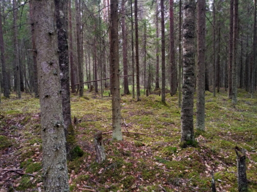 IMG 20190529 1312364