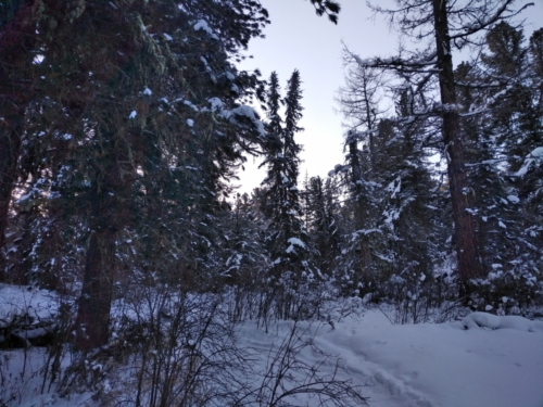 IMG 20190102 1013070