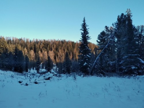 IMG 20190102 1014062