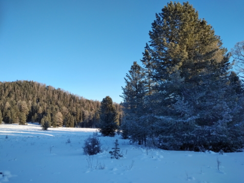 IMG 20190102 1020288