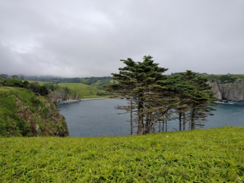IMG 20180810 1611309 (1)