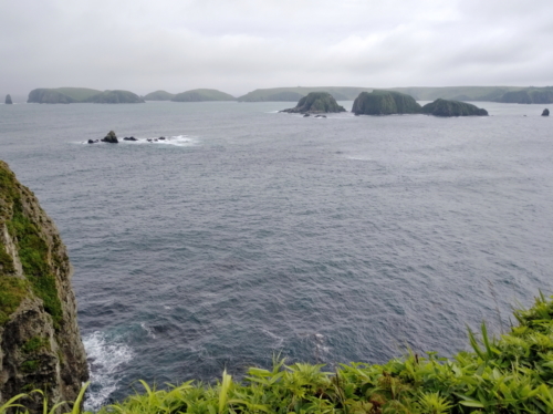 IMG 20180810 1612440 (1) (1)