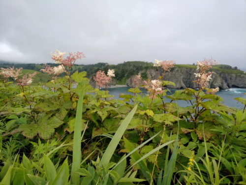 IMG 20180810 1615015