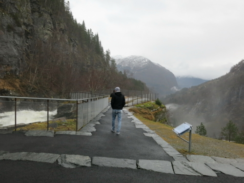 IMG 3552