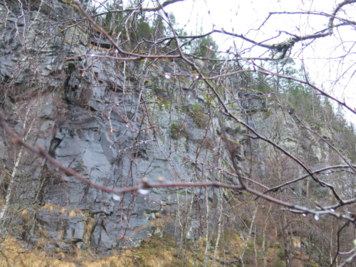 IMG 3554