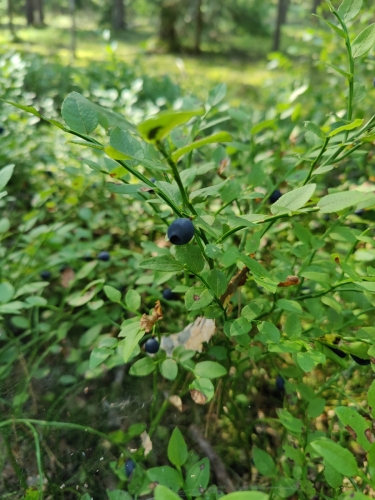 IMG20220804171452