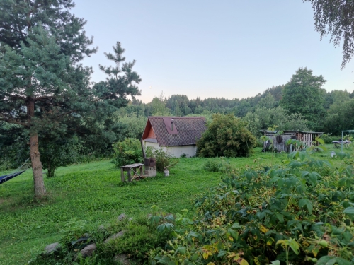 IMG20220807204116