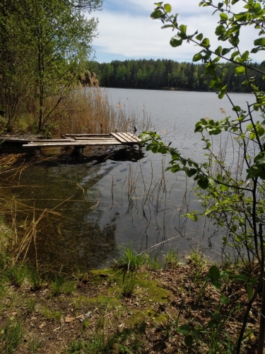 IMG 20220602 1309576