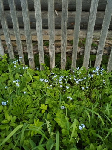 IMG 20220603 1537494