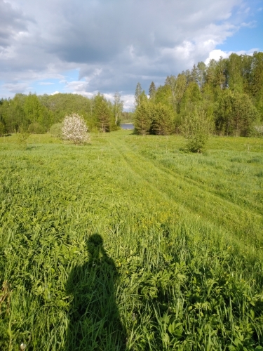 IMG 20220605 1806568