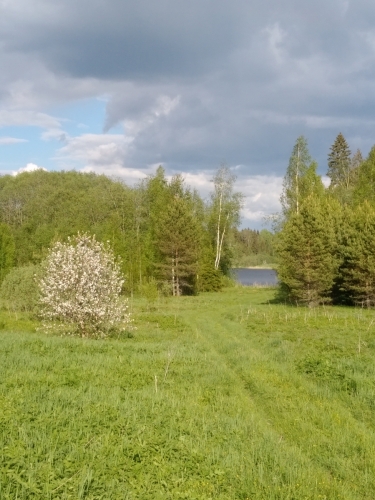 IMG 20220605 1807068