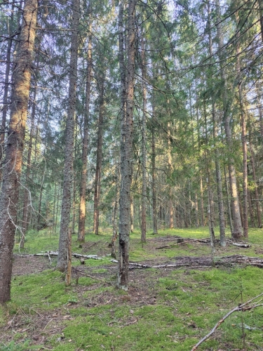 IMG20250809183350