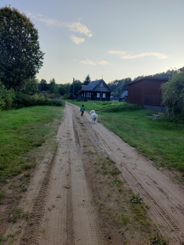 IMG20250811194752