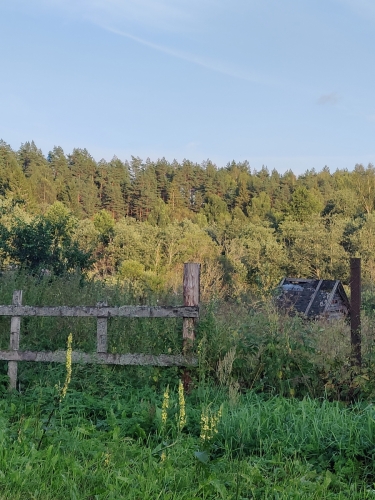 IMG20250811194850