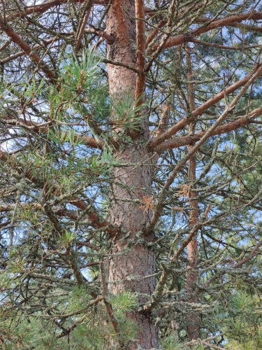 IMG20250812100001