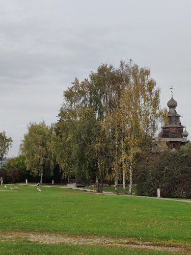 IMG20251003135222