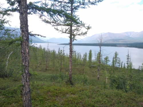 IMG 20200713 1649195