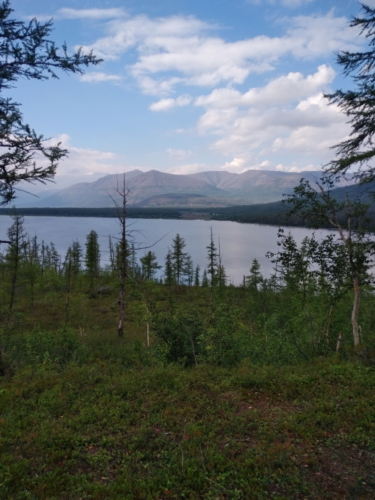 IMG 20200713 1649254