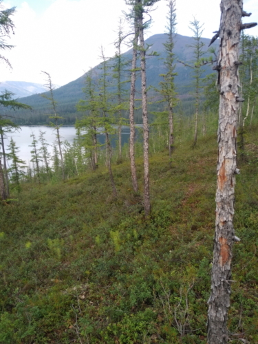 IMG 20200713 1650150