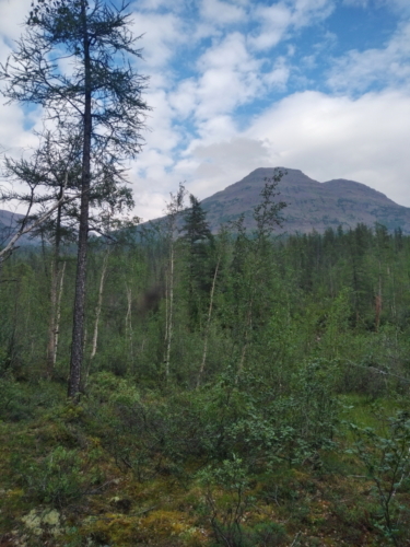 IMG 20200713 1734262